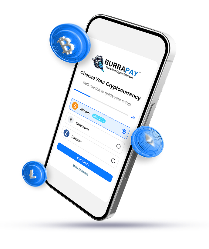 BurraPay crypto deposit interface on mobile